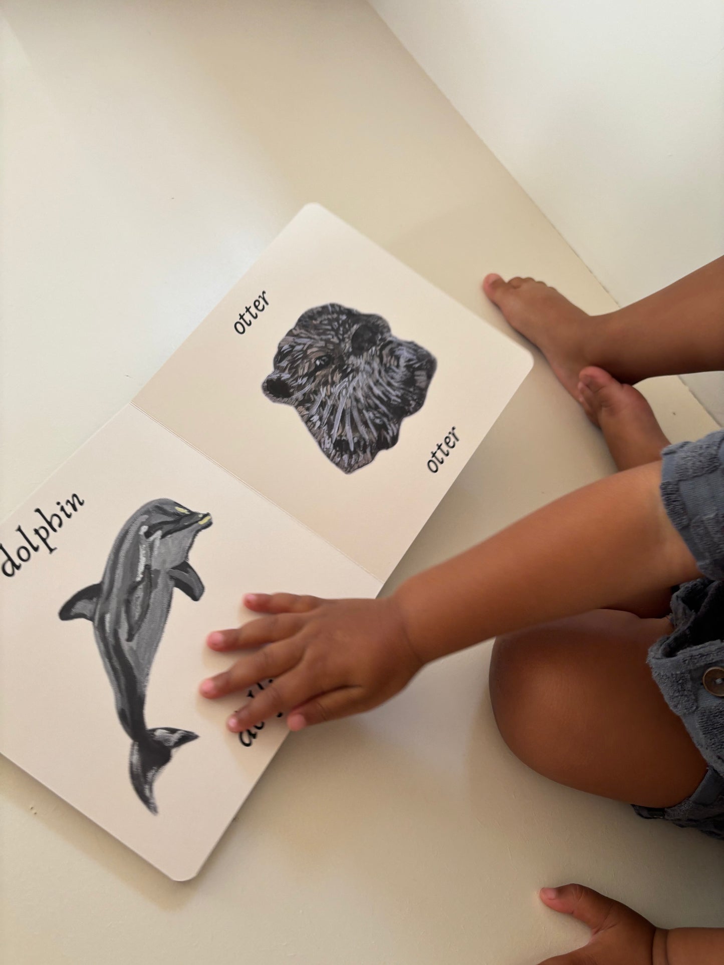 Mijn eerste dierenboek | Engels en Nederlands